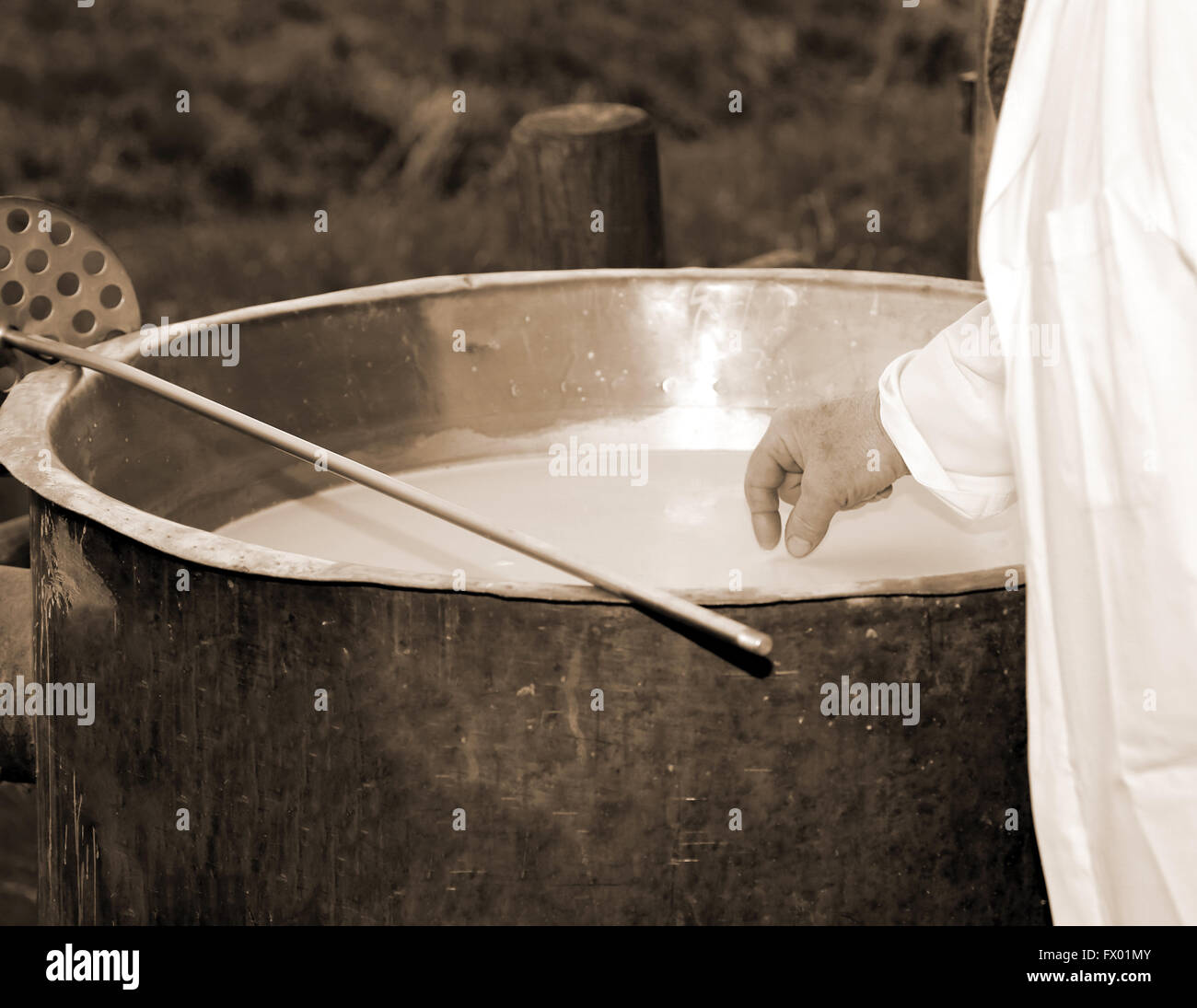 Cheesemaker Checks With Hand The Milk's Temperature Inside The Large ...