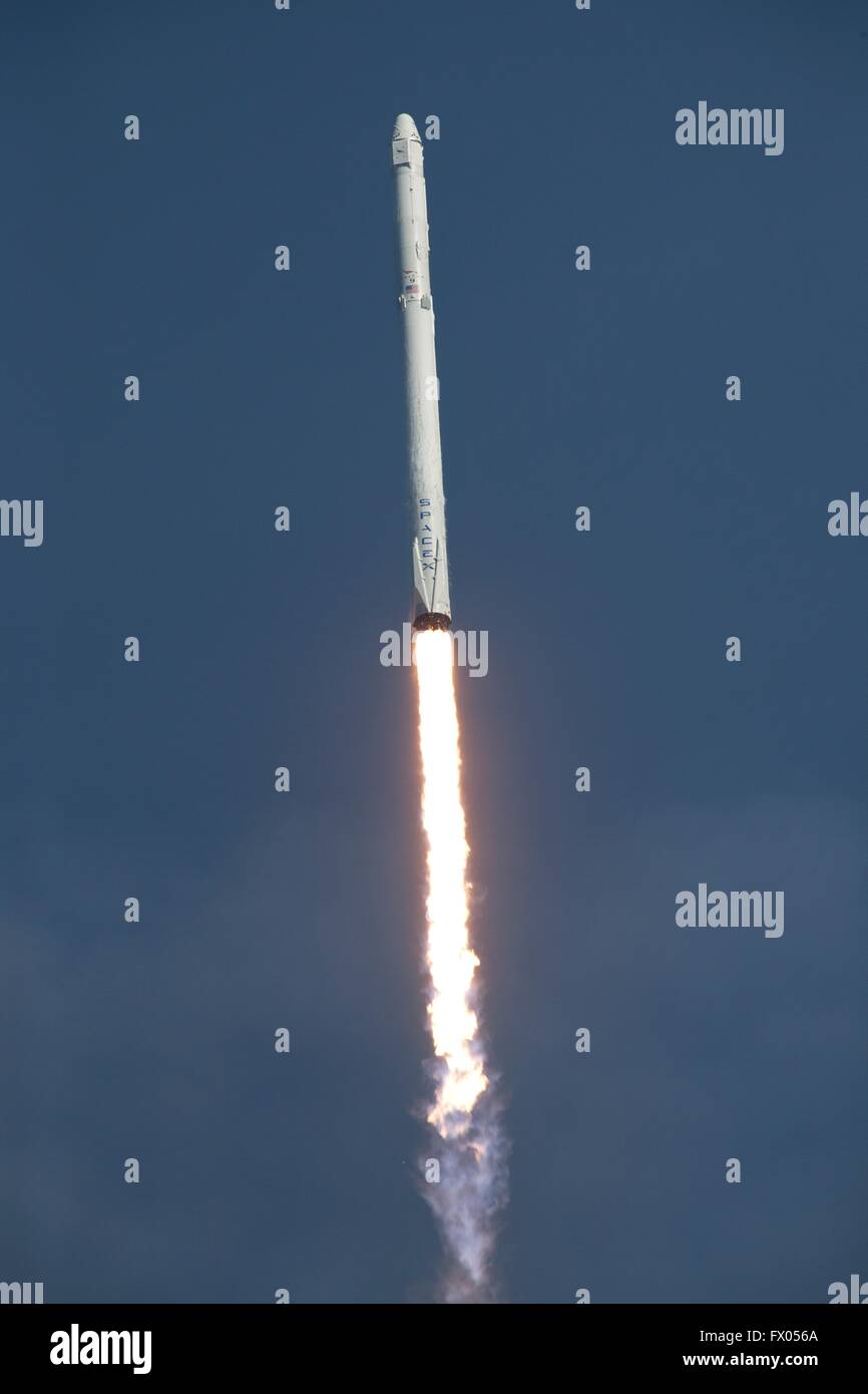 The SpaceX Falcon 9 carrying the Dragon cargo capsule blasts off from Launch Pad 40 at the Kennedy Space Center April 8, 2016 in Cape Canaveral, Florida. The CRS-8 mission is carrying a prototype inflatable Bigelow Aerospace module called BEAM to the International Space Station. Stock Photo