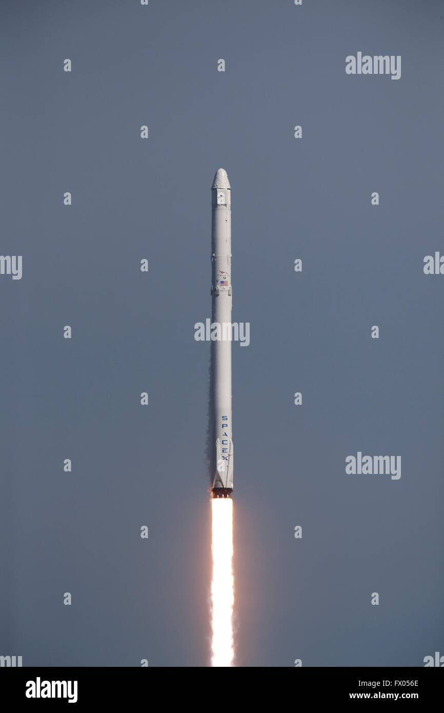 The SpaceX Falcon 9 carrying the Dragon cargo capsule blasts off from Launch Pad 40 at the Kennedy Space Center April 8, 2016 in Cape Canaveral, Florida. The CRS-8 mission is carrying a prototype inflatable Bigelow Aerospace module called BEAM to the International Space Station. Stock Photo