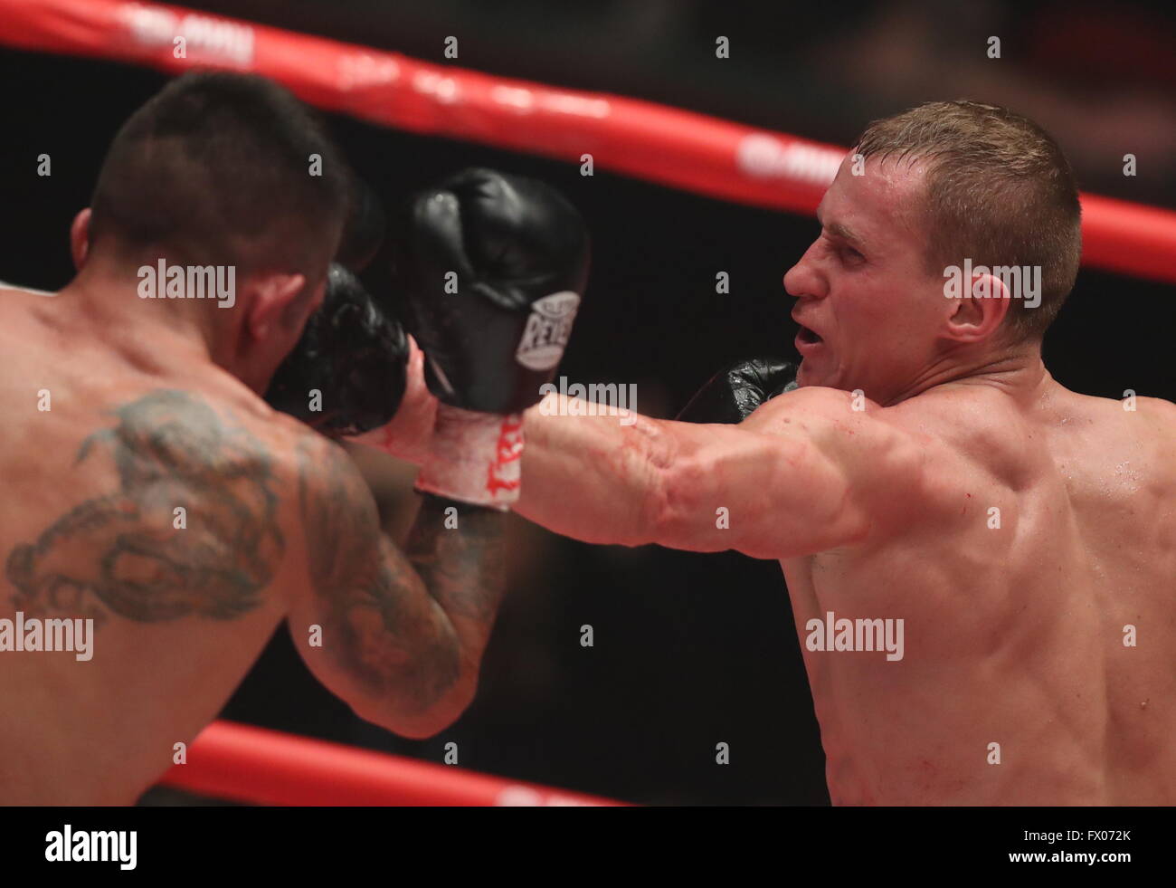 Russian boxer Troyanovsky defended his IBO and IBF world champion titles Russian boxer Troyanovsky defended his IBO and IBF world champion titles