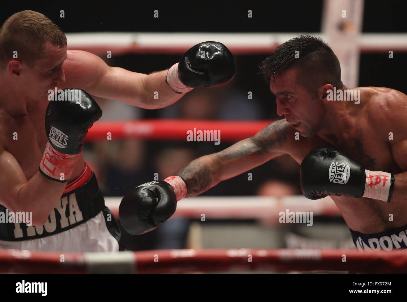 Russian boxer Troyanovsky defended his IBO and IBF world champion titles Russian boxer Troyanovsky defended his IBO and IBF world champion titles