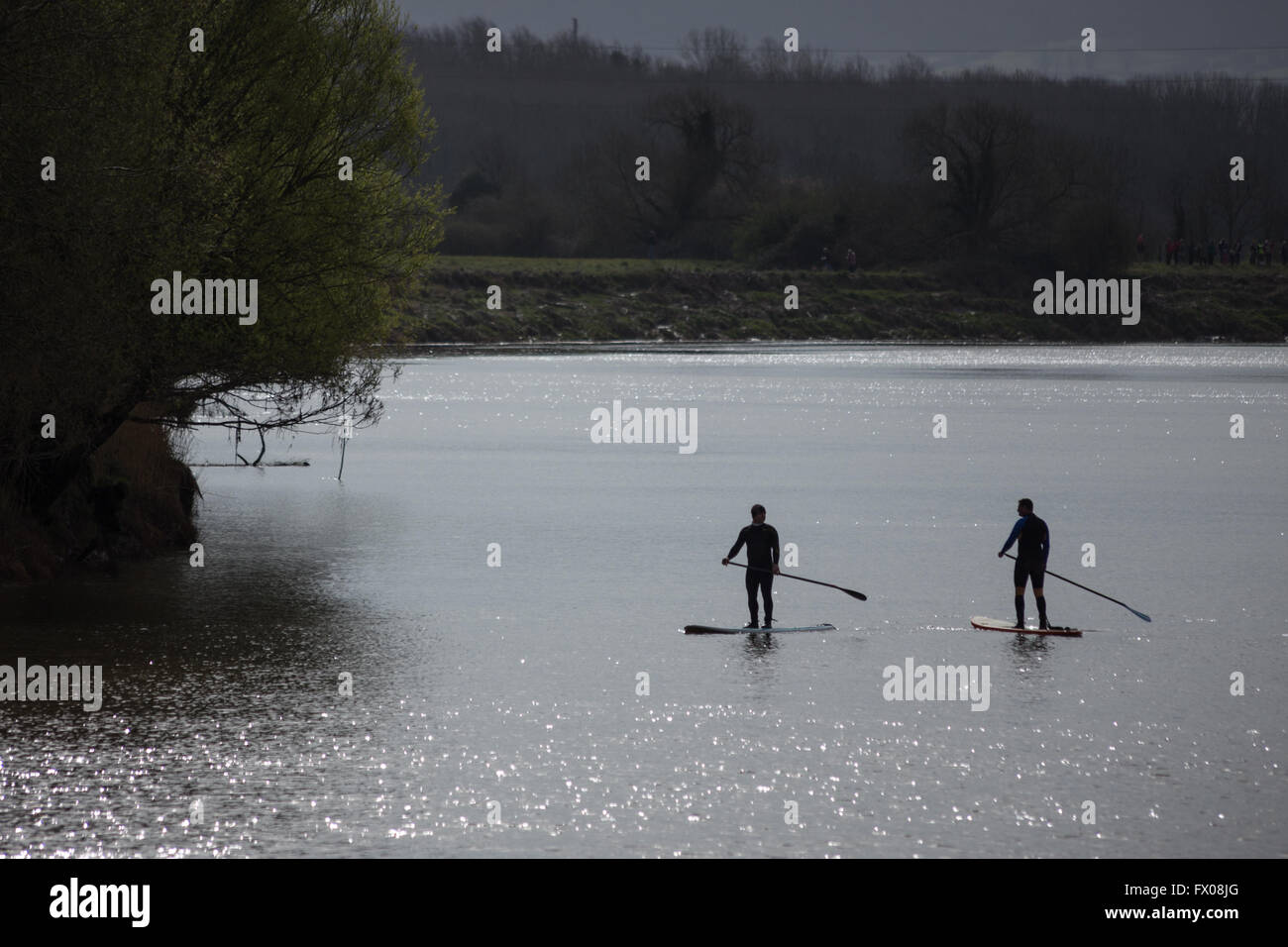 Minsterworth, Gloucestershire, UK. 9th April 2016. A collection of surfers, canoeists and paddle boarders attempt to ride the Severn Bore at the Severn Bore Inn, Minsterworth. The high Spring tides contribute to a larger tidal flow up stream, classified as a 4 Star bore rating. Credit:  Wayne Farrell/Alamy Live News. Stock Photo