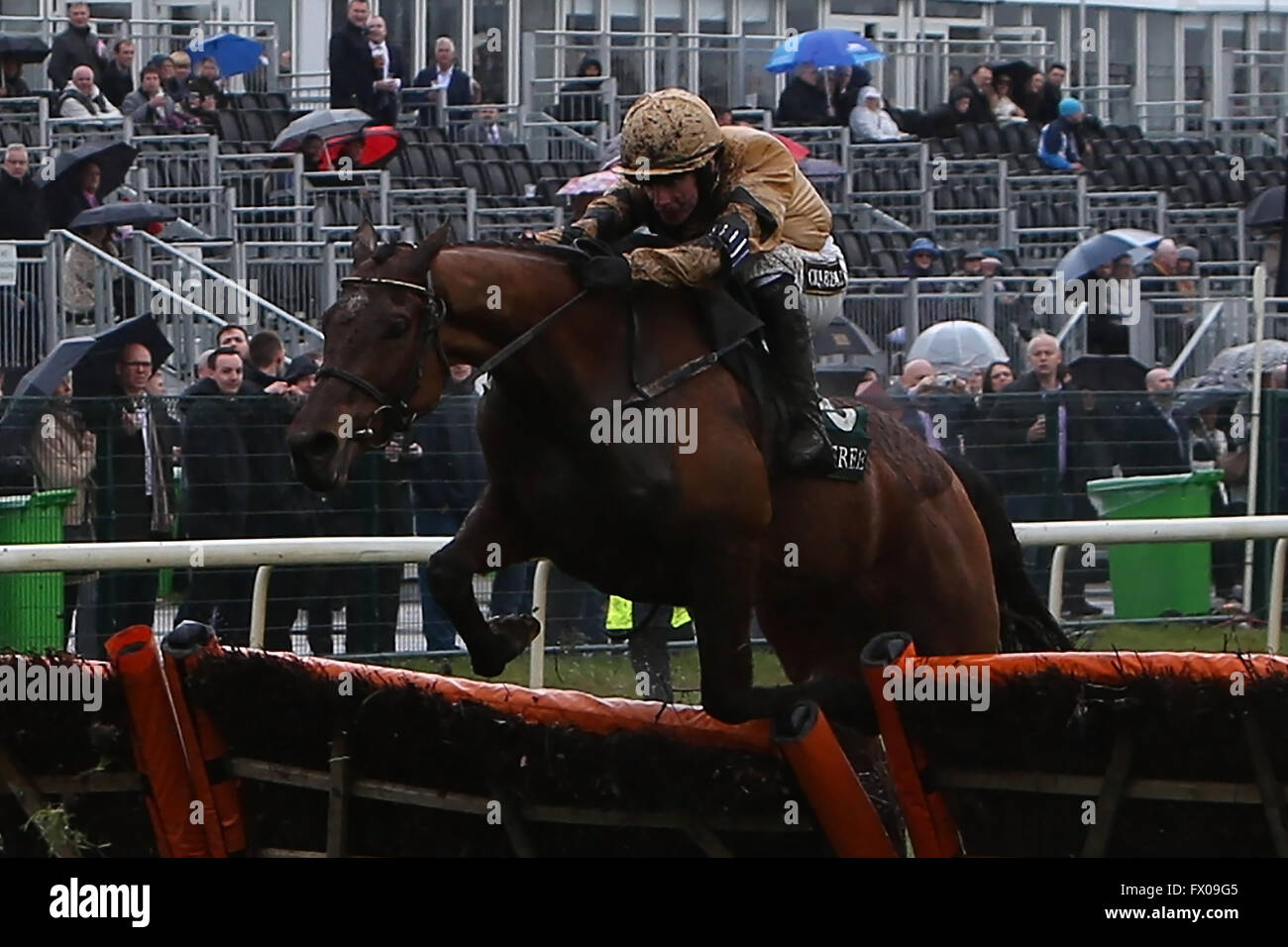 Aintree, Liverpool, UK. 09th Apr, 2016. Crabbies Grand National Festival Day 3. Different Gravey