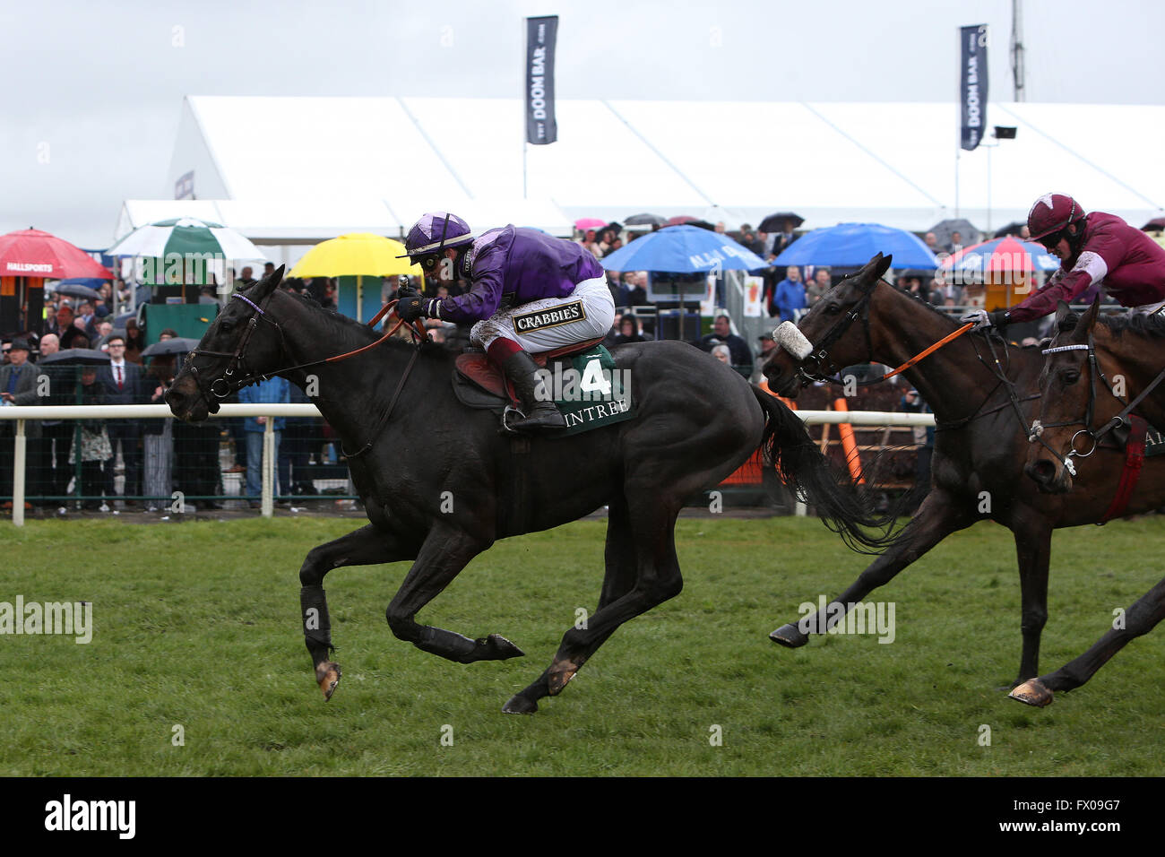 Aintree, Liverpool, UK. 09th Apr, 2016. Crabbies Grand National Festival Day 3. Serienschock