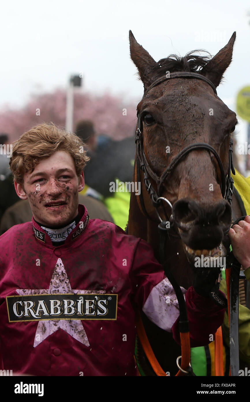 Won the grand national at aintree hires stock photography and images