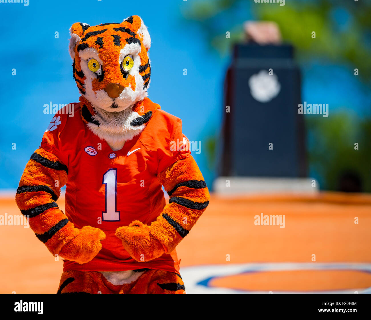 Clemson tiger mascot hi-res stock photography and images - Alamy