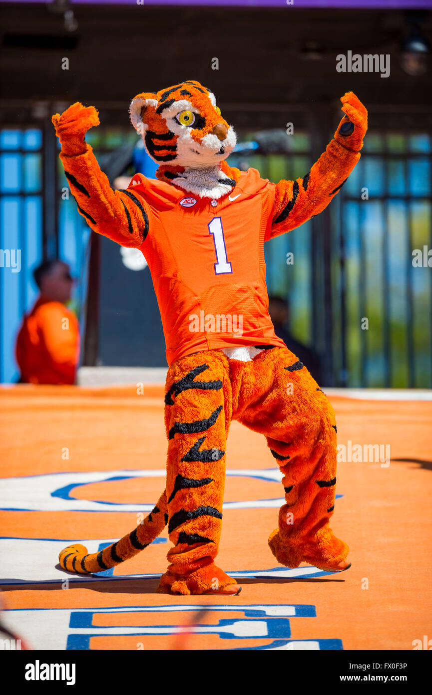 Tiger mascot hi-res stock photography and images - Alamy