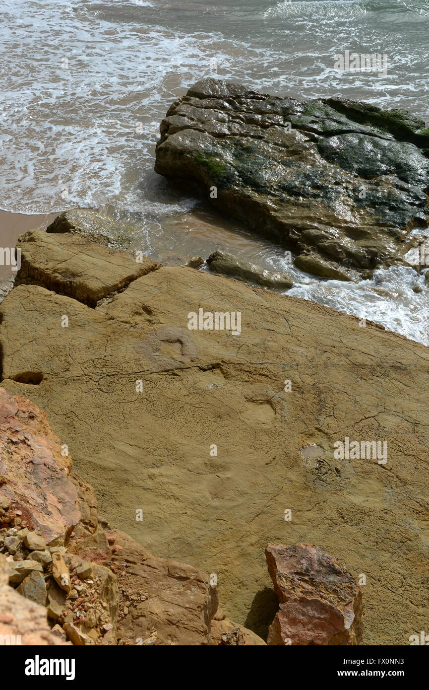 once a fertile estuary these dinosaur footprints at Salema are preserved for millions of years and the beach beyond are unique Stock Photo