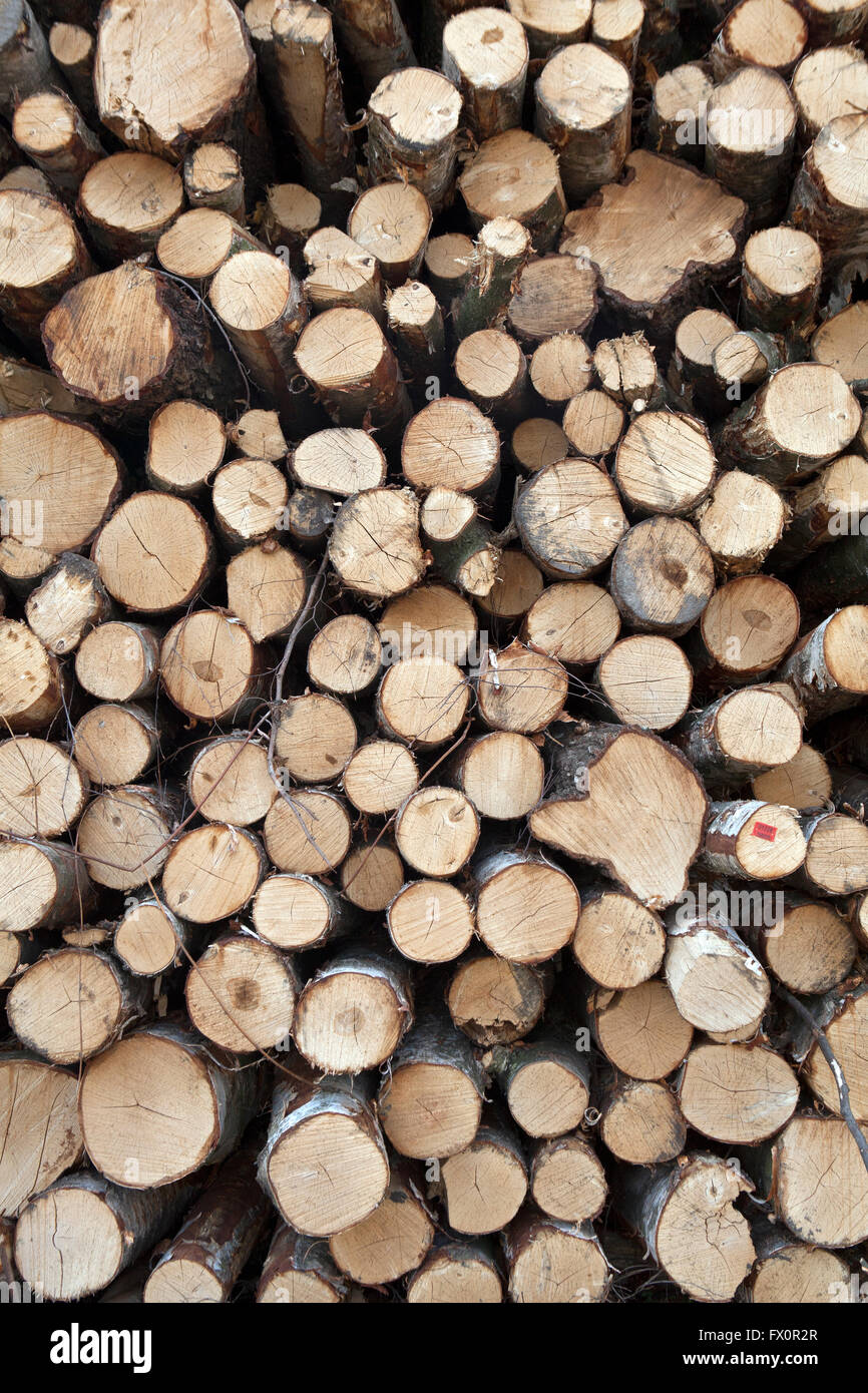 Wood, Stock Photo