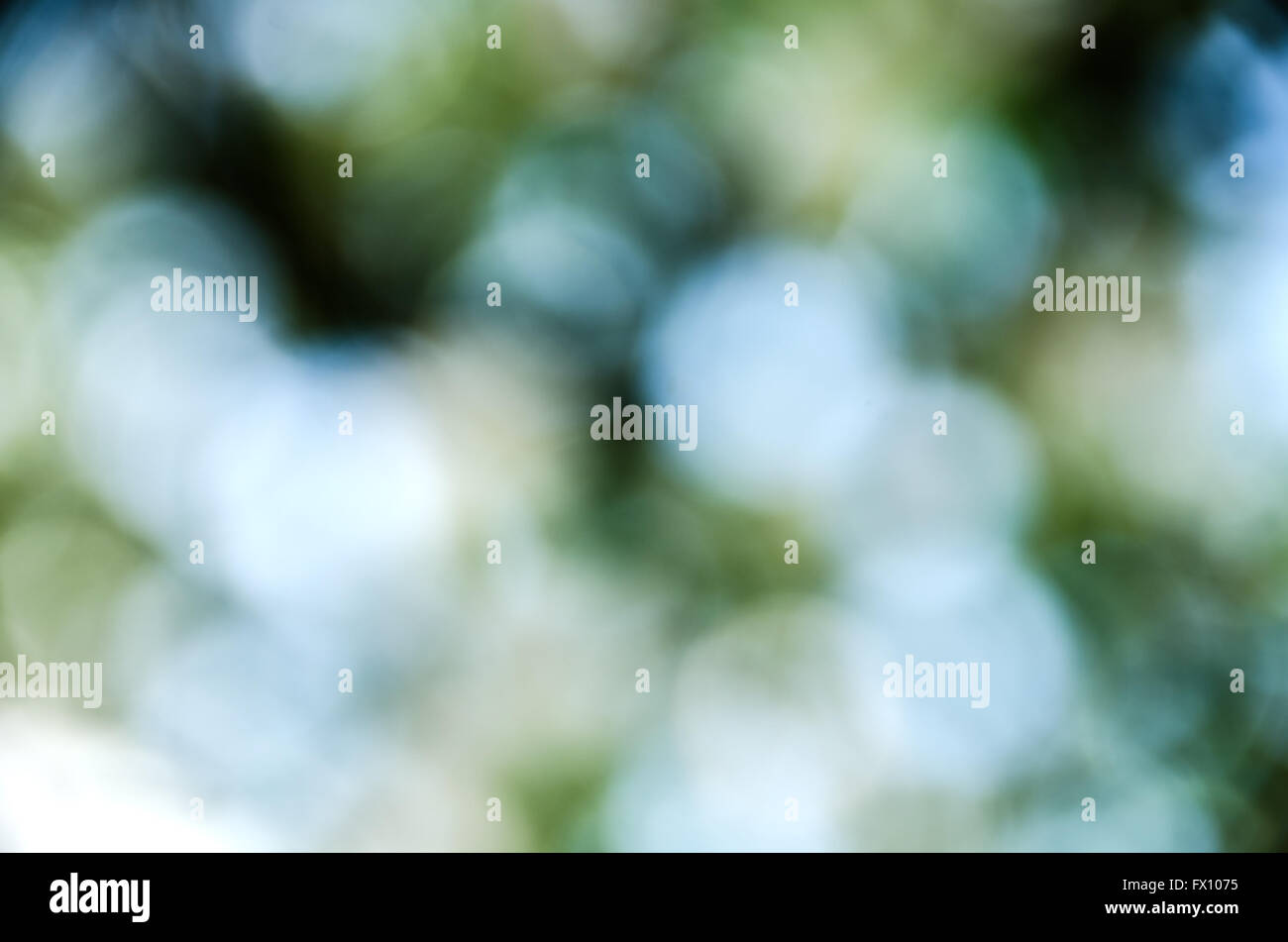 Bokeh as green blue abstract nature background Stock Photo - Alamy