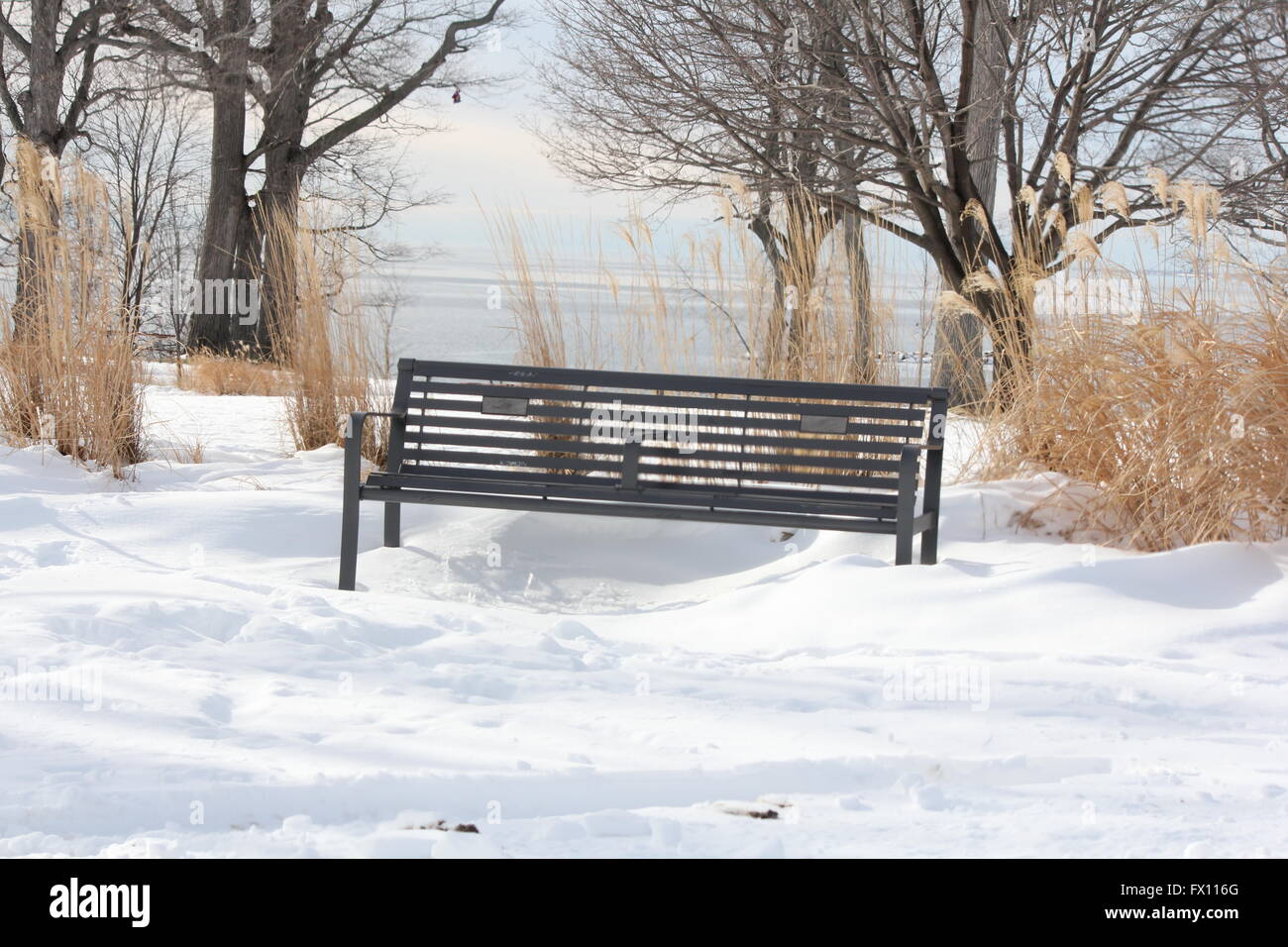 Vacant park bench in a snow filled park during the winter season Stock ...