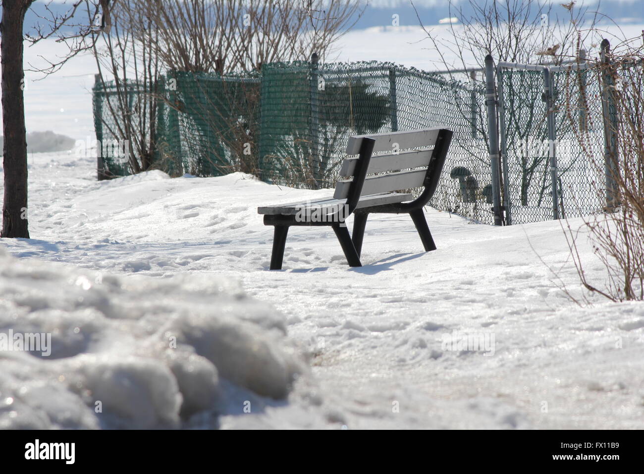 Vacant park bench in a snow filled park during the winter season Stock ...