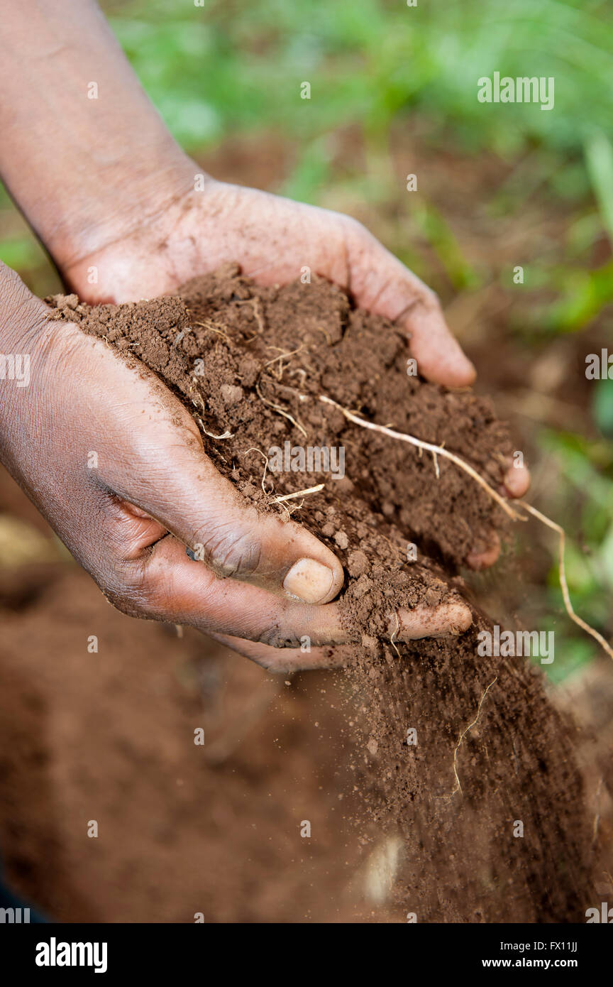 Person holding fertile soil in their hands, Rwanda Stock Photo Alamy