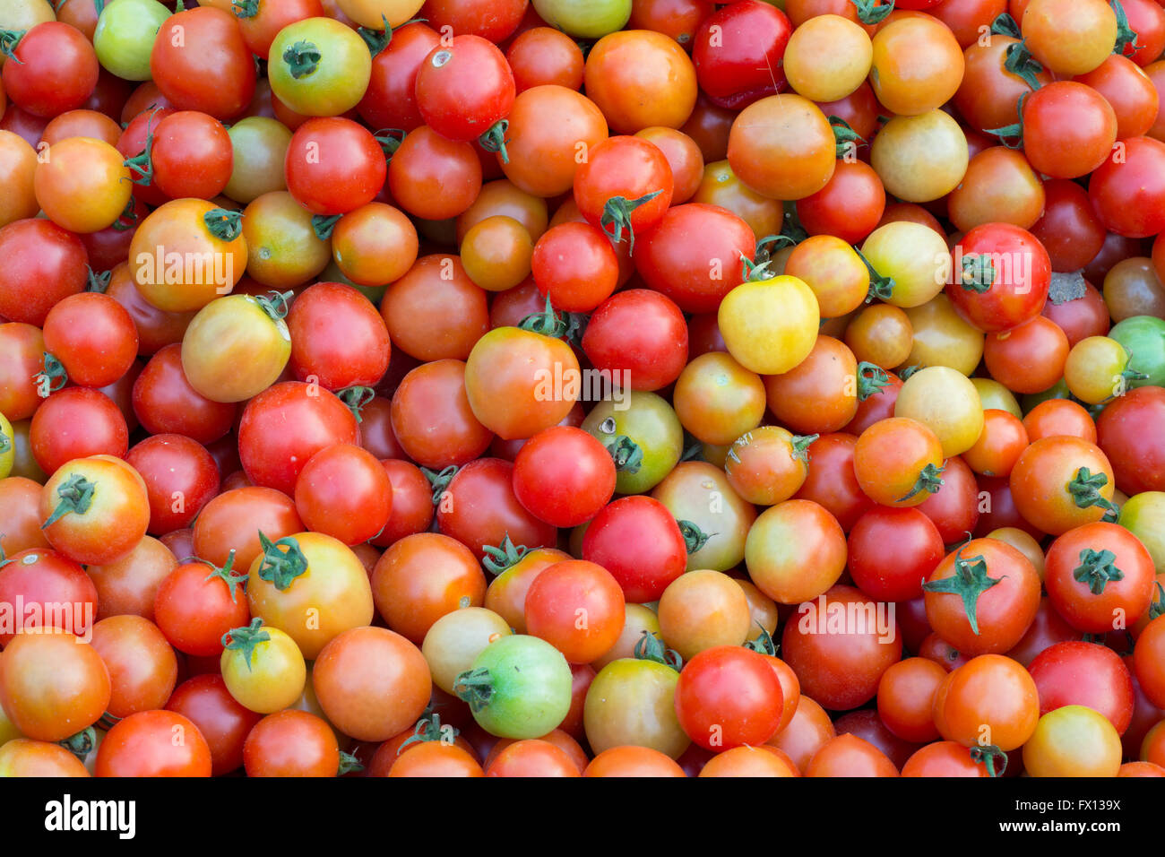 Group of fresh tomatoes Stock Photo - Alamy