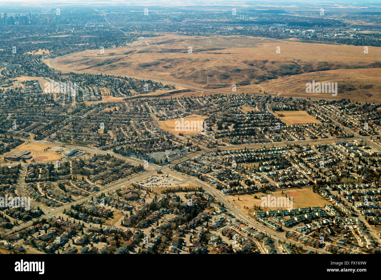 Nose Hill park rough fescue grassland ecosystem surrounded by residential suburban communities, aerial view. Stock Photo