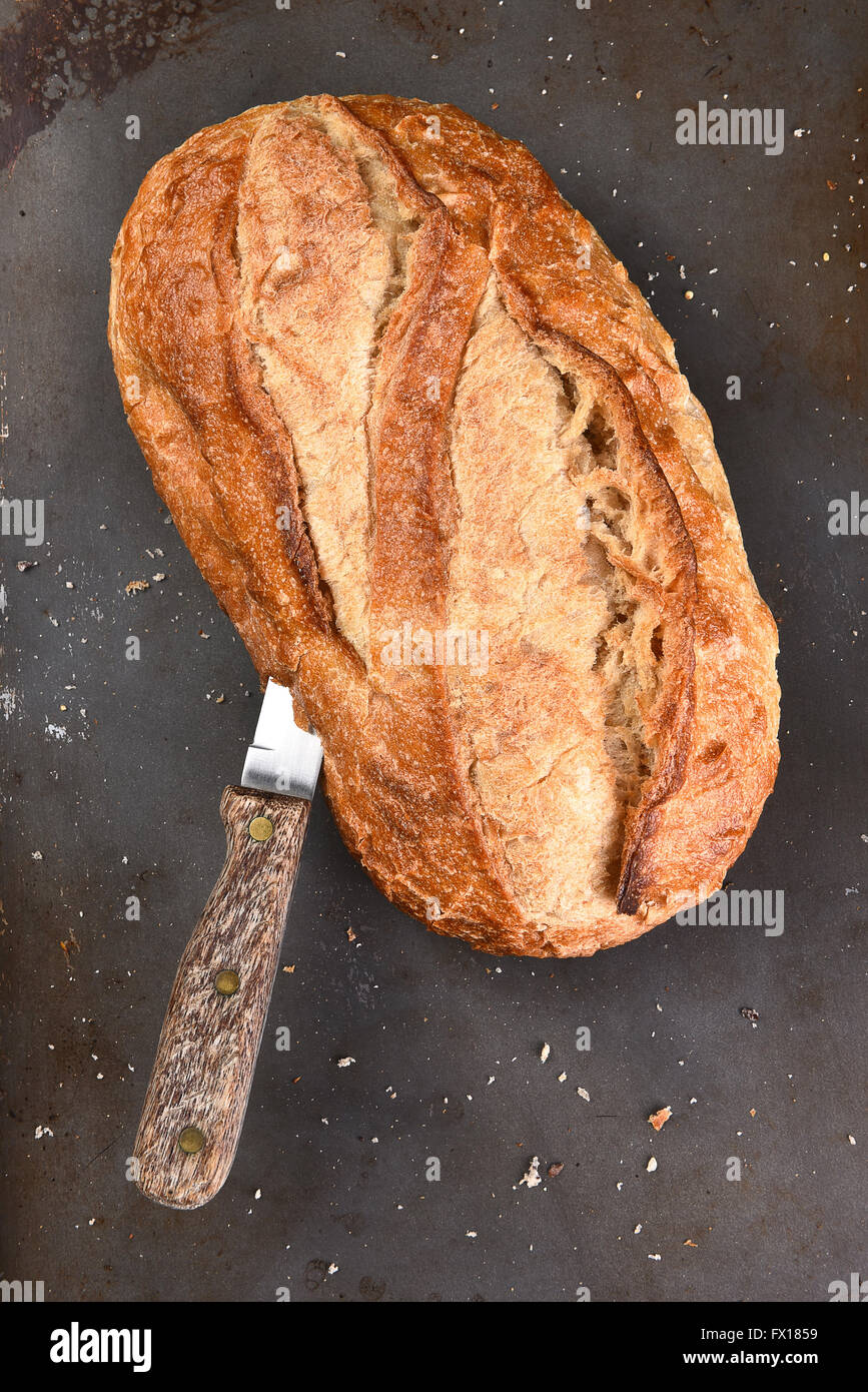 Still life of a loaf of county style white bread on a baking sheet