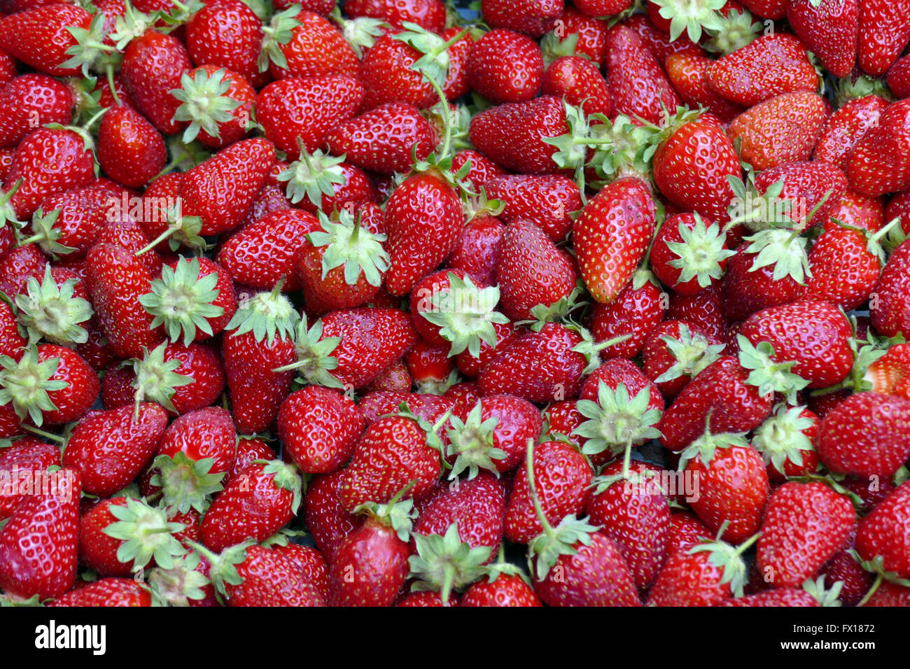 Strawberries fruit hi-res stock photography and images - Alamy
