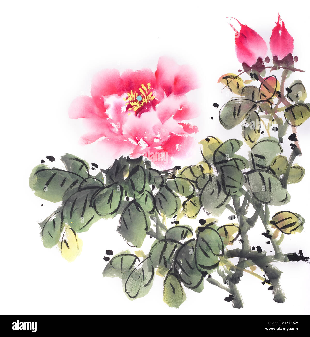peony flower,Traditional chinese ink and wash painting. Stock Photo