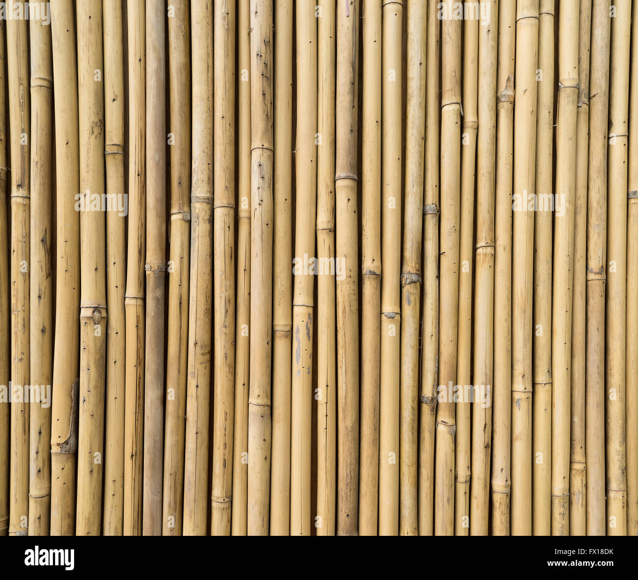bamboo fence Stock Photo