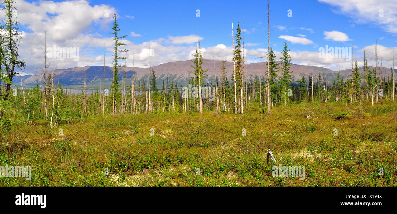 panorama-mountain-tundra-on-the-putorana-plateau-summer-landscape-with