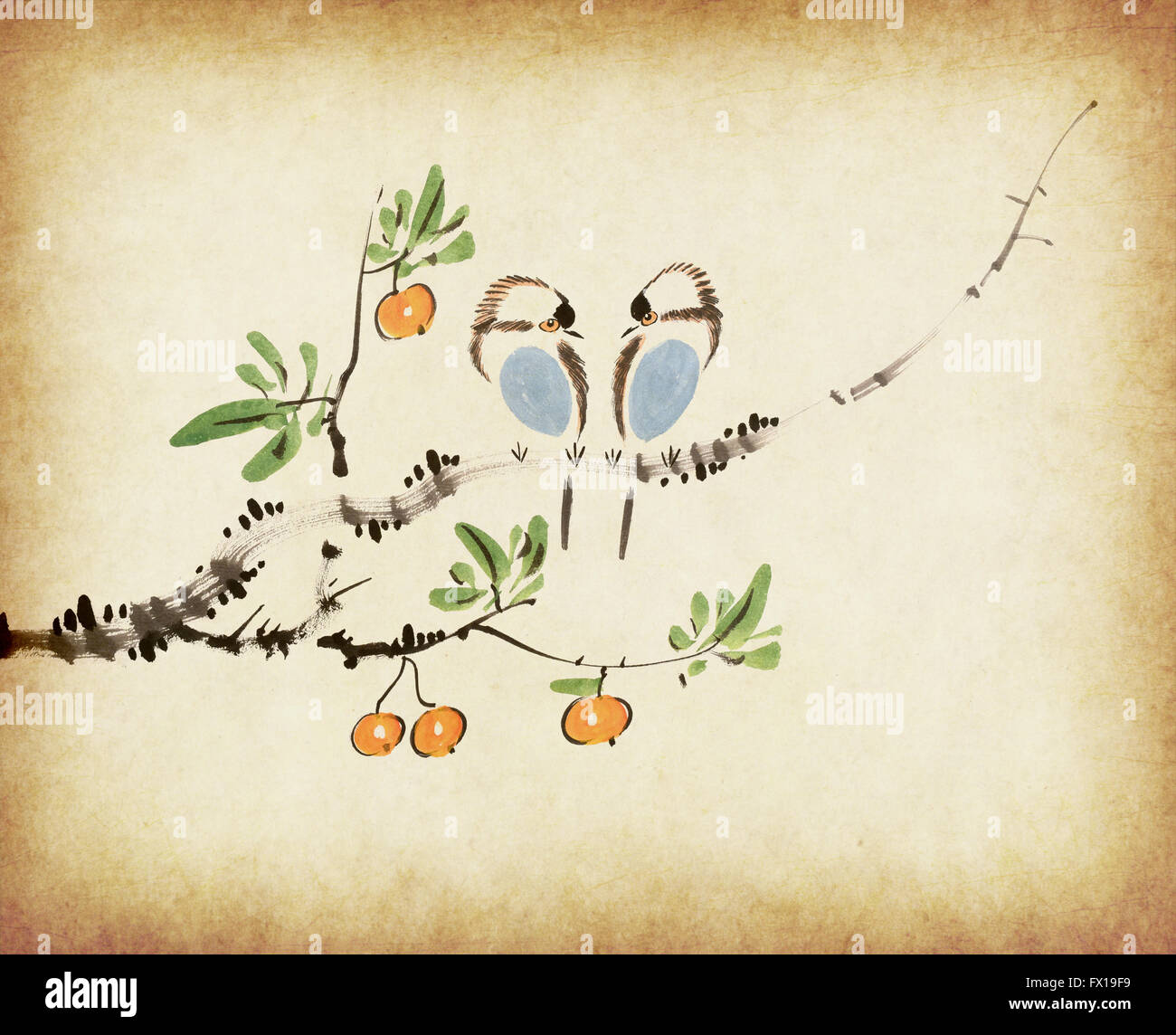 Traditional chinese painting loquat and two birds on old Paper Background Stock Photo