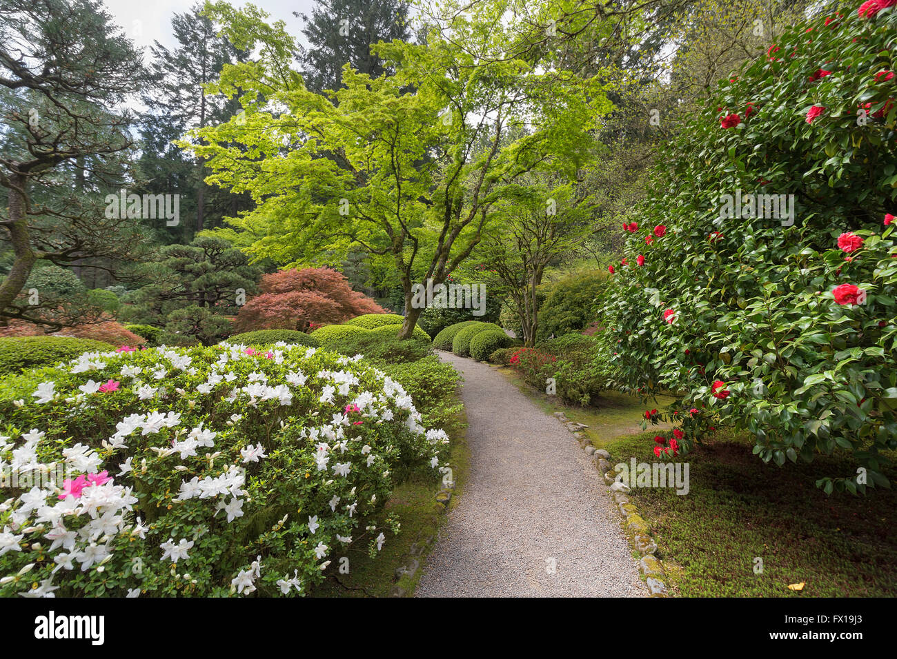 Garden Path at Portland Japanese Garden in Spring Season Stock Photo