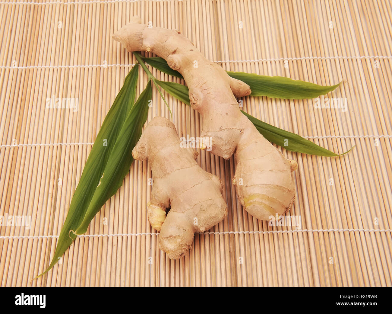 collection of fresh ginger root Stock Photo