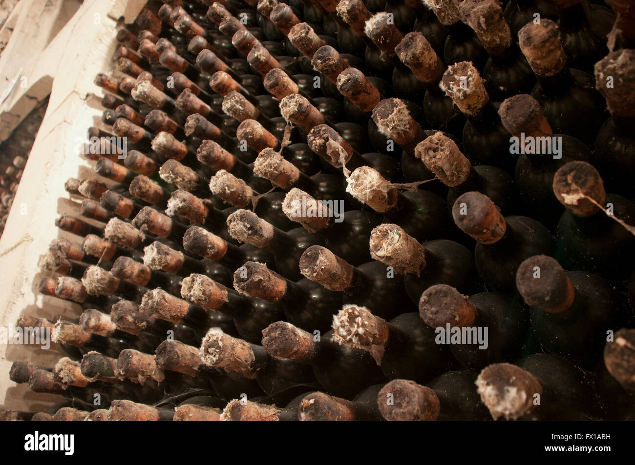 Old wine bottles with wax in the wine cellar Stock Photo