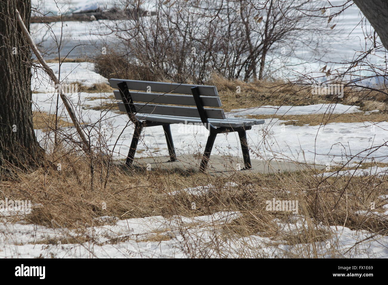 Vacant park bench in a snow filled park during the winter season Stock ...