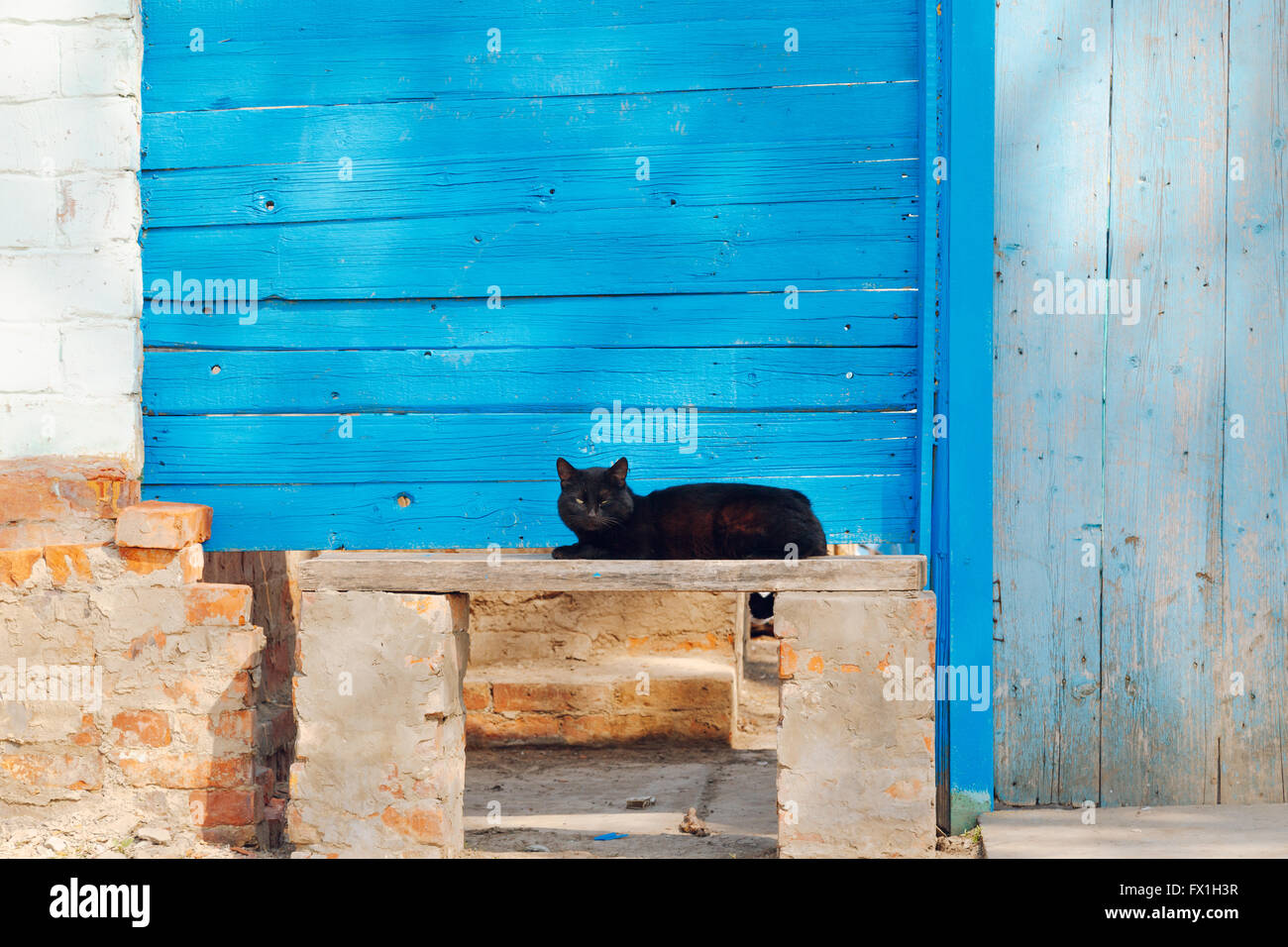 Black cat sitting on the bench Stock Photo - Alamy