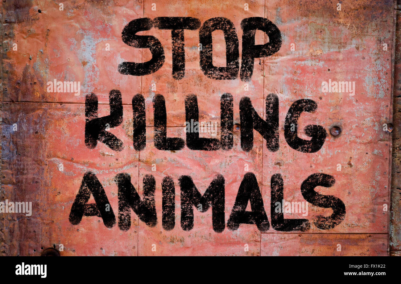 stop-killing-animals-concept-stock-photo-alamy