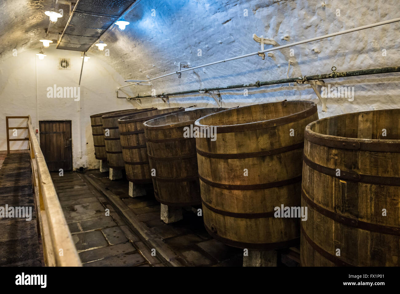 Wooden open fermentation barrels in the historical cellars of Pilsner