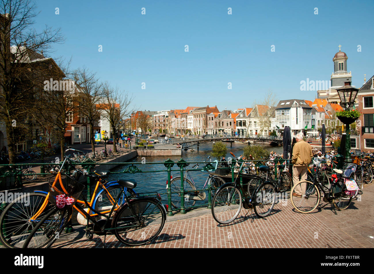 bicycles-leiden-netherlands-stock-photo-alamy