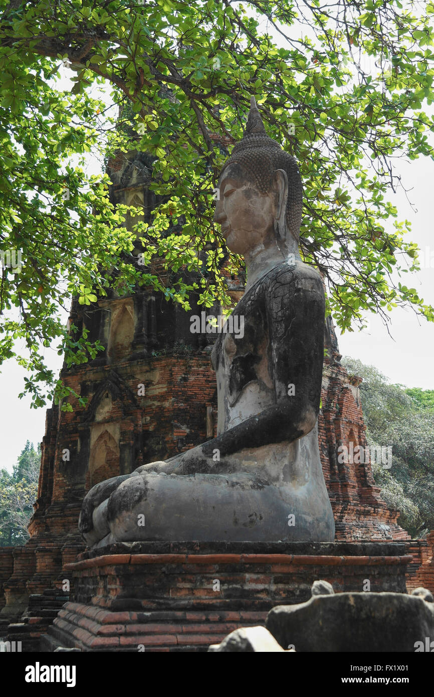 Wat Mahatat near Ayutthaya- Thailand Stock Photo - Alamy