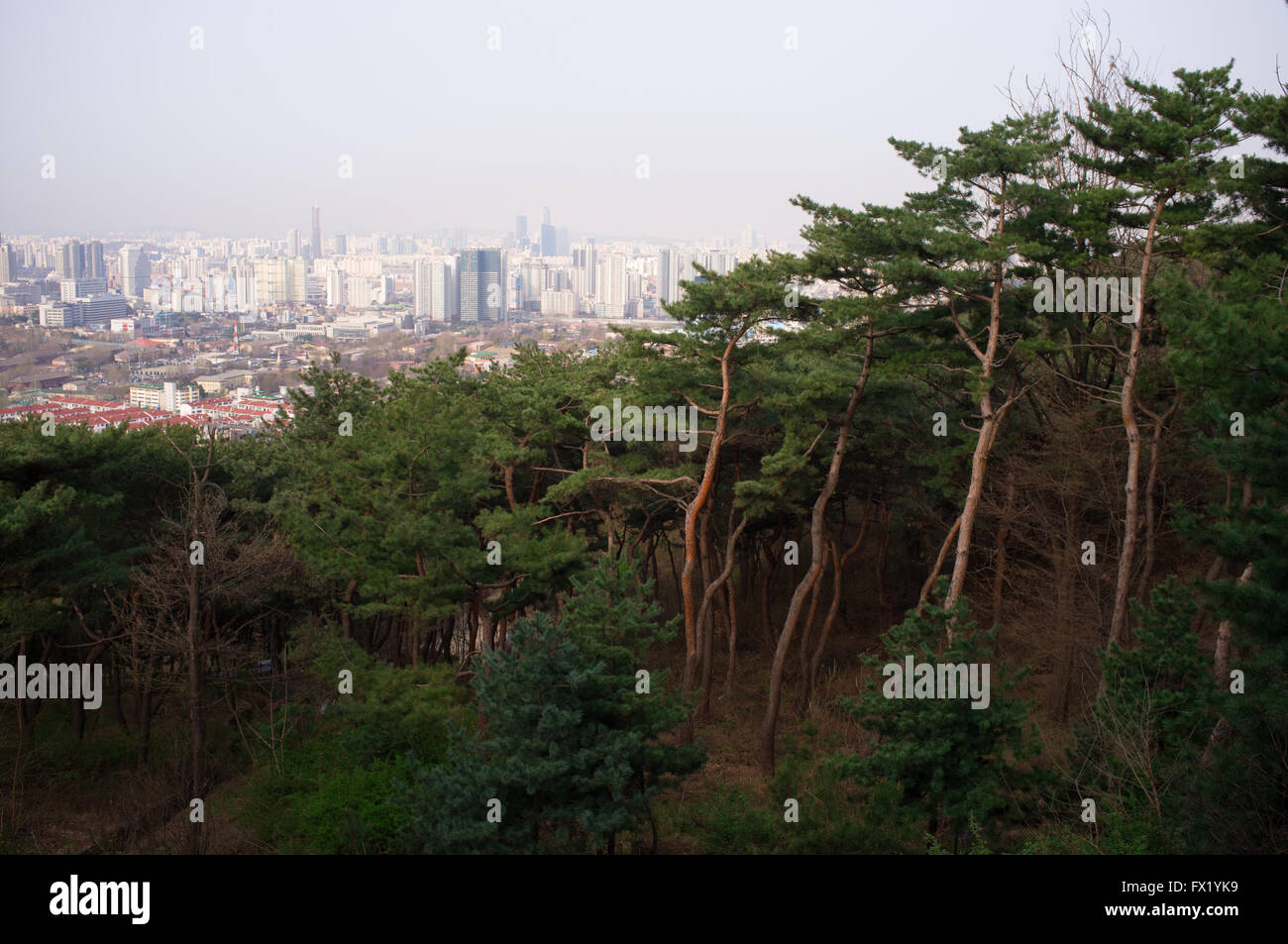 A view of southern Seoul, South Korea, from the slopes of Nam Mountain in early spring. Stock Photo