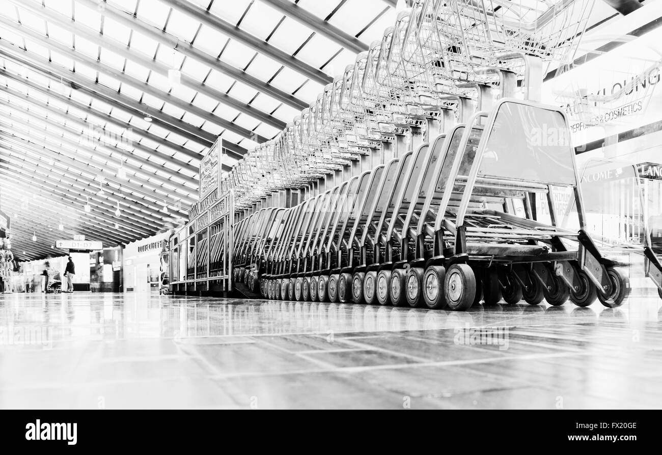 lnumber of luggage carts at modern airport Stock Photo