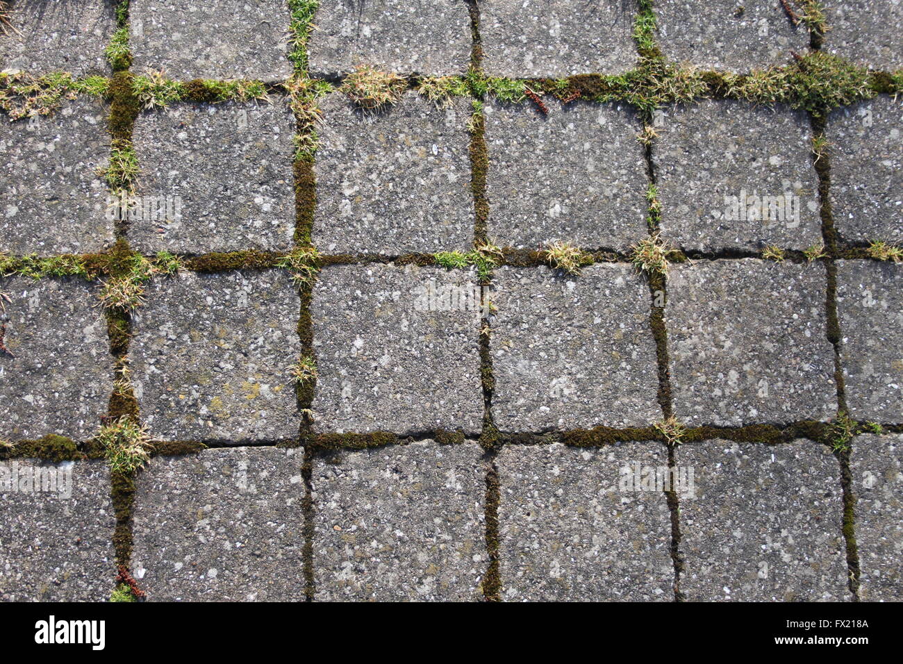 Moss stones walkway hires stock photography and images Alamy
