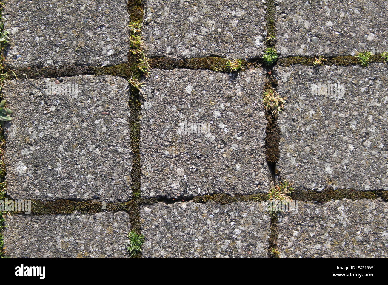Grass paving block hires stock photography and images Alamy