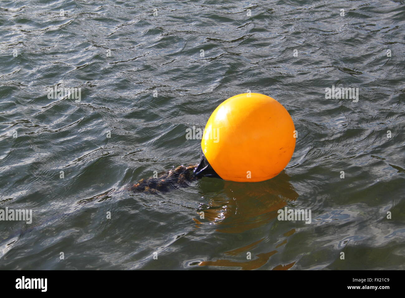 Fishing buoy hi-res stock photography and images - Alamy