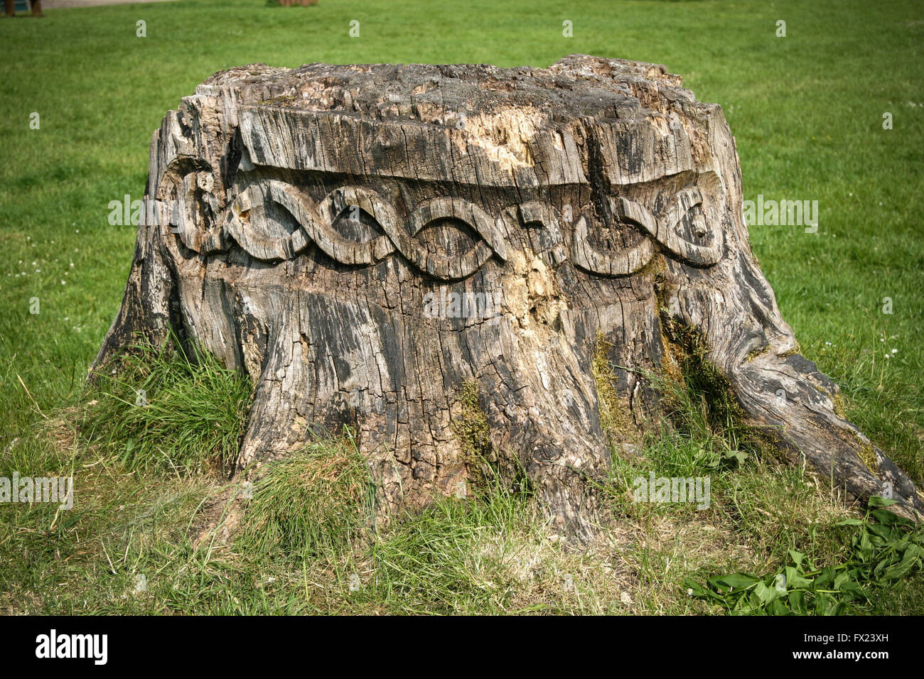CARVED TREE STUMP, LOUGH KEY FOREST PARK, IRELAND JUNE 11, 2007. Old