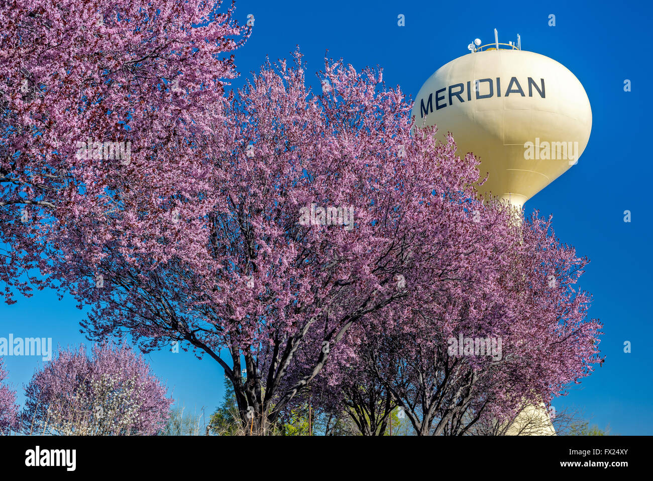 Meridian Idaho High Resolution Stock Photography And Images Alamy