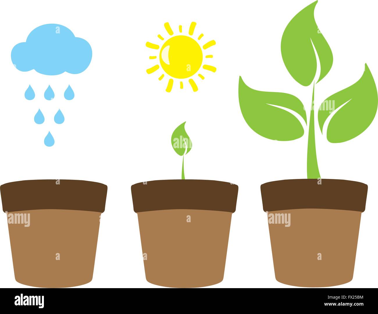 vector illustration of a plant growth gardening concept Stock Vector ...