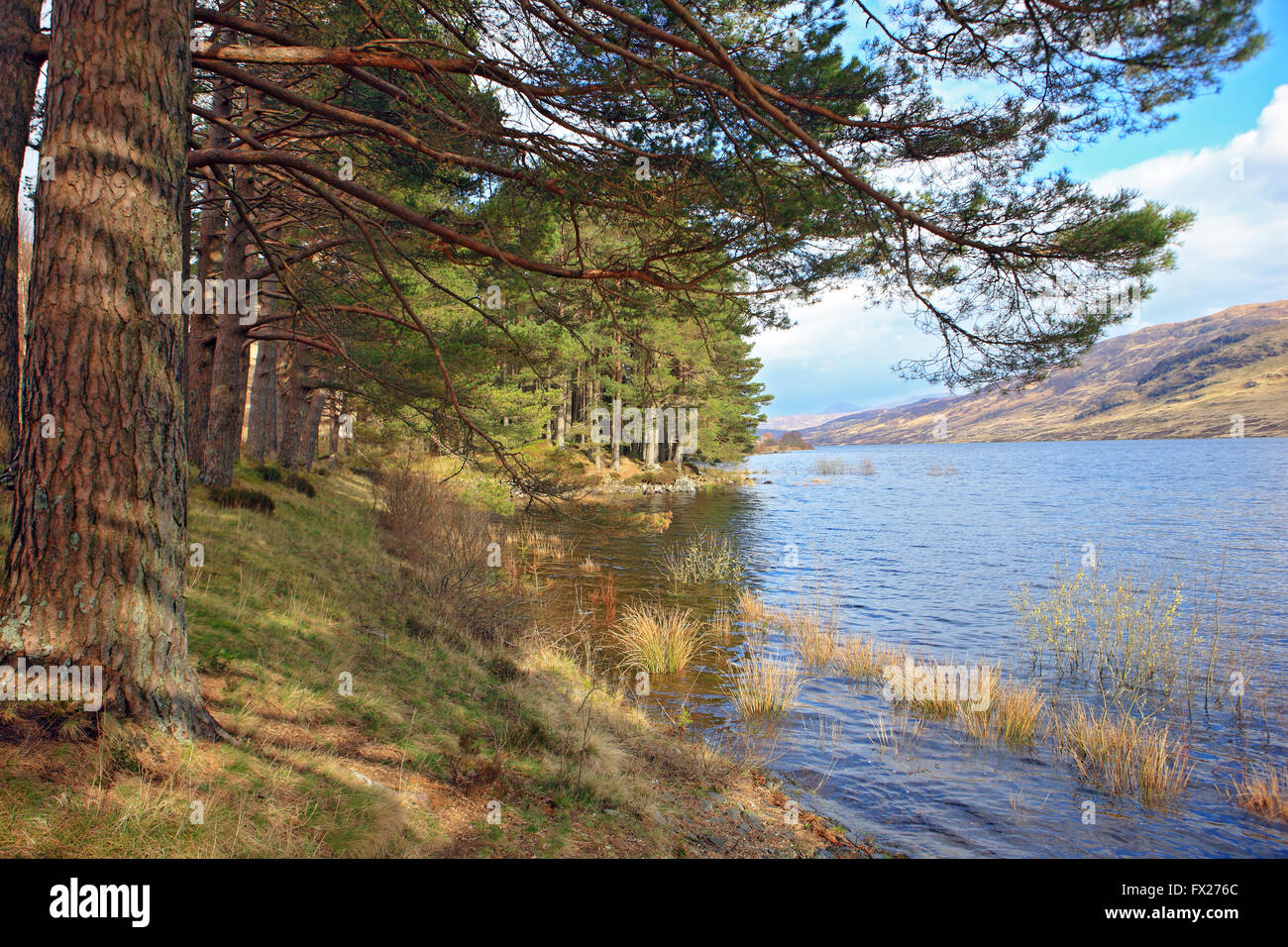 Loch Arklet in the Trossachs of Scotland Stock Photo Alamy