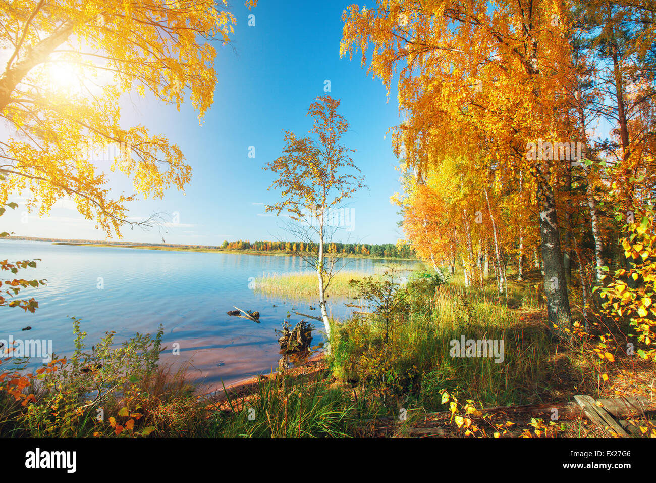 Autumnal Park. Autumn Trees and lake Stock Photo - Alamy