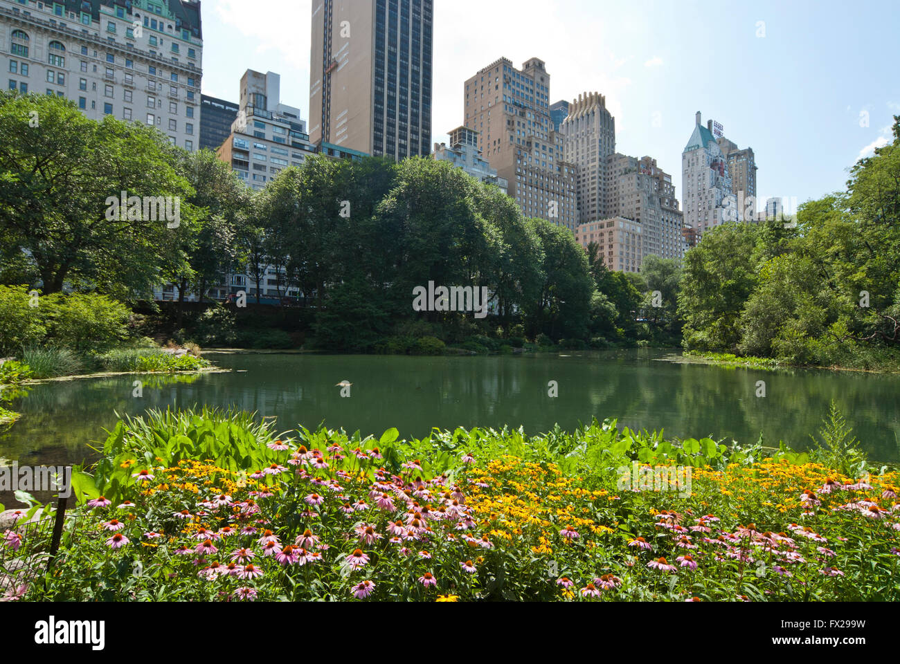 Central Park NYC, New York, USA Stock Photo