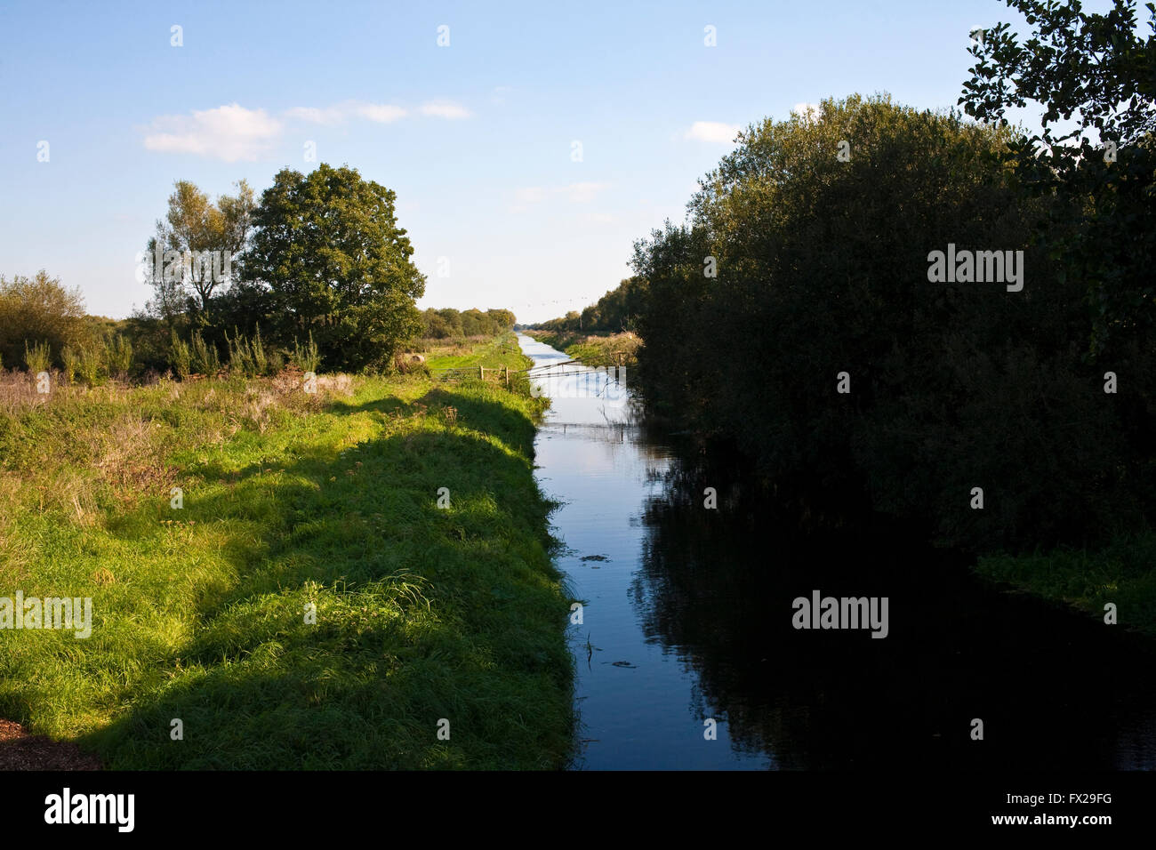 south drain at shapwick nature reserve somerset levels Stock Photo