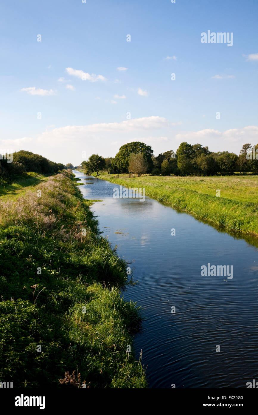 south drain at ham wall nature reserve somerset levels Stock Photo
