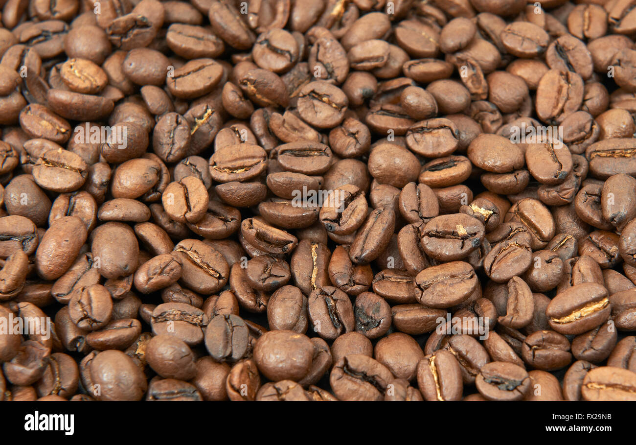 Closeup image of light roasted coffee beans Stock Photo Alamy