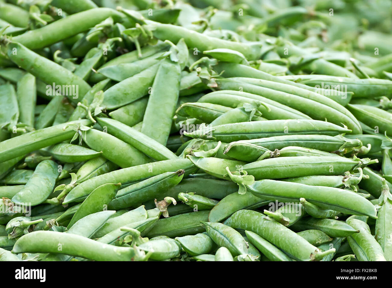 Closeup image of fresh peas (Pisum sativum) Stock Photo