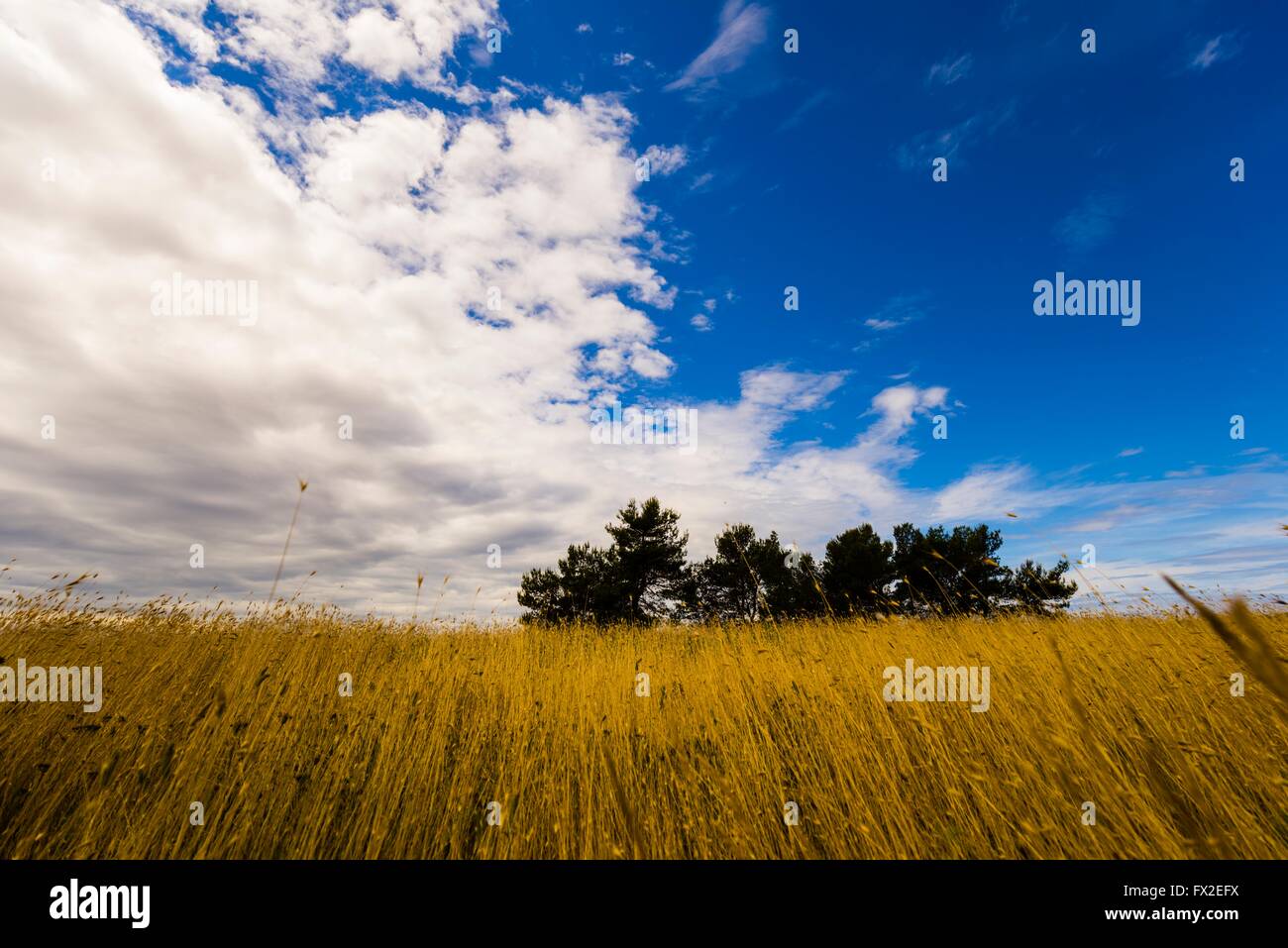 Cloudy landscape scenic scenery Stock Photo